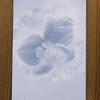 Thumb_sq100_cmc_2009_d_pliant_cover_original